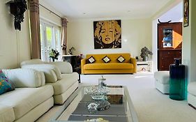 Serene Spacious Room